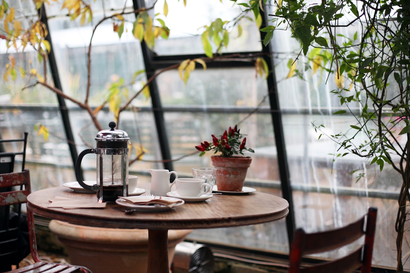 Sunny cafe table with french press coffee pot and plant